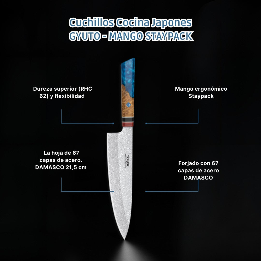 Cuchillo Cocina Profesional TOKYSU - Cuchillos Cocina Japones GYUTO de Acero DAMASCO 67 capas 21,5