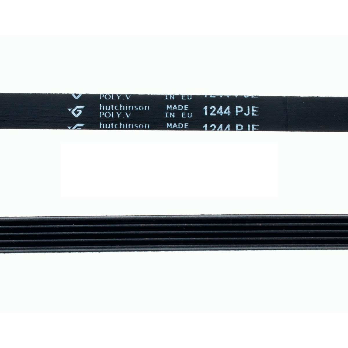 Correa Lavadora 1244 PJE