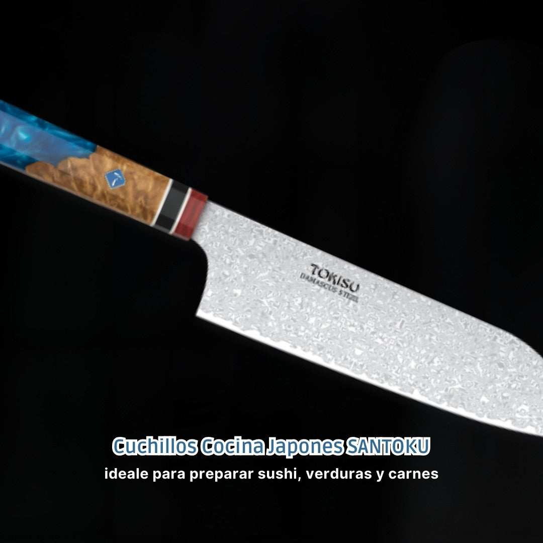 Cuchillo Cocina Profesional TOKYSU - Cuchillos Cocina Japones SANTOKU de Acero DAMASCO 67 capas 19,5